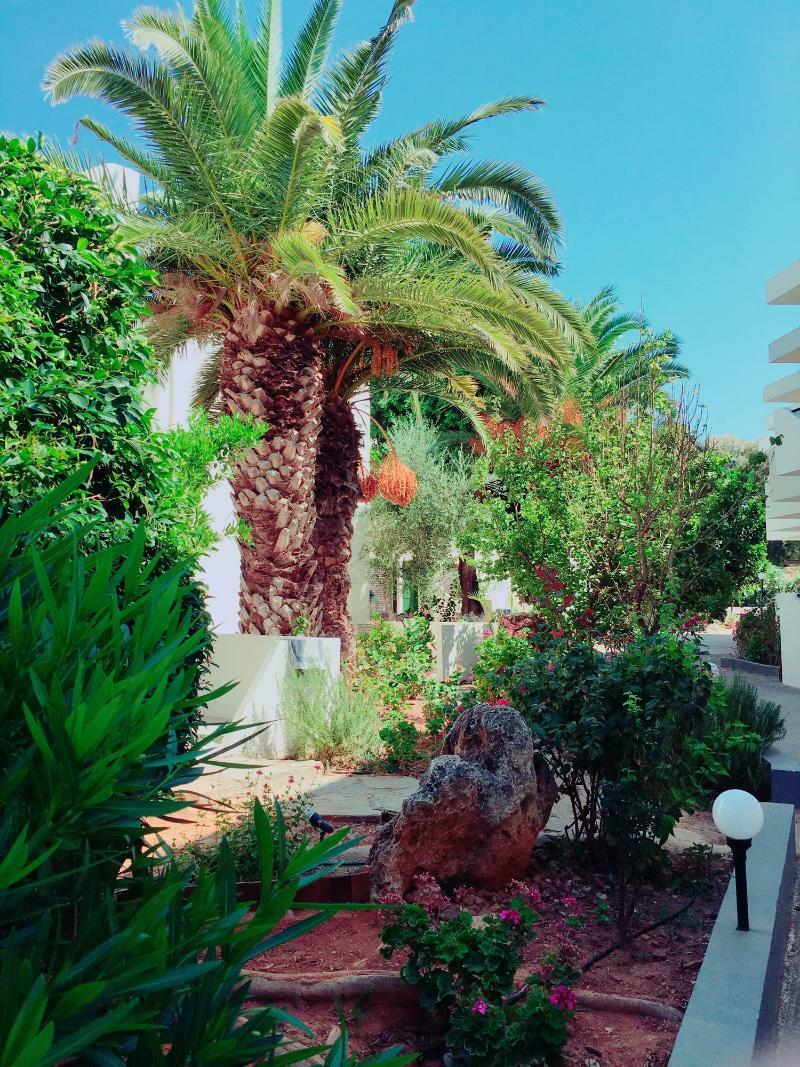 Amnissos Hotel Pigianos Kampos  Exterior foto